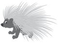 Porcupine