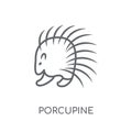 porcupine linear icon. Modern outline porcupine logo concept on