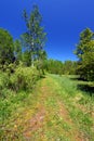 Porcupine Mountains Wilderness State Park Royalty Free Stock Photo