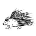 Porcupine outline icon