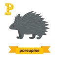 Porcupine. P letter. Cute children animal alphabet in vector. Funny cartoon animals