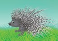 Porcupine