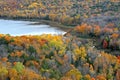 Porcupine wilderness park Royalty Free Stock Photo