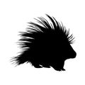 Porcupine Silhouette. Good To Use For Element Print Book, Animal Book and Animal Content