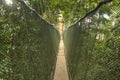 Poring canopy walk way . Royalty Free Stock Photo