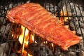 Pork Baby Back Or Spareribs On BBQ Grill With Flames
