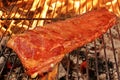 Pork Baby Back Or Spareribs On BBQ Grill With Flames