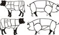 Pork & beef diagrams Royalty Free Stock Photo