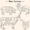 Pork, beef, lamb and chicken cuts - hand drawn set. Vector scheme of meat cutting in vintage style Royalty Free Stock Photo