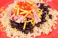 Pork Black Beans and Rice Royalty Free Stock Photo