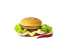 Pork burger with cheese, onion, tomato and lettuce on a wooden cutting board Royalty Free Stock Photo