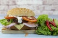 Pork burger  Delicious snacks Royalty Free Stock Photo