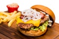 Pork burger with cheese, vegetable and served with fries Royalty Free Stock Photo