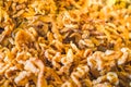 Pork caps or Cap Moo on a food stall at Thung Kwian Market in Lampang Province