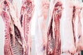 Pork Carcasses in butchery ready for processing Royalty Free Stock Photo