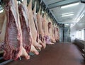 Pork carcasses hang in a meat processing plant