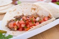 Pork carnita with pico Royalty Free Stock Photo