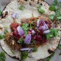 Pork Carnitas Royalty Free Stock Photo