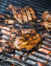 Pork chops on the barbecue grill