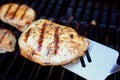 Pork Chops on the Grill Royalty Free Stock Photo