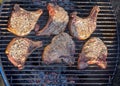 Pork chops grilled on barbecue