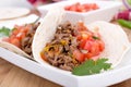 Pork cornita with pico Royalty Free Stock Photo