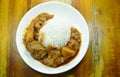 Pork curry and potato with rice on plate Royalty Free Stock Photo