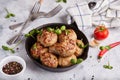 Pork cutlets from minced meat. Pan-fried meatballs