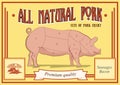 Pork cuts diagram, vector illustration for your