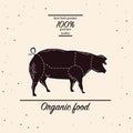 Pork-cuts--diagram-in-vintage-style. Hand-drawn sketch in a graphic style. Vintage  engraving illustration Royalty Free Stock Photo