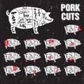 Pork Cuts Vector Template Set