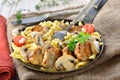 Pork fillet with Swabian spaetzle Royalty Free Stock Photo