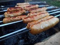 pork fried sausages cooked on the coals. Royalty Free Stock Photo