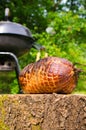 Pork ham baked on bbq Royalty Free Stock Photo