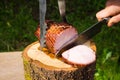 Pork ham baked on bbq Royalty Free Stock Photo