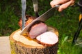 Pork ham baked on bbq Royalty Free Stock Photo
