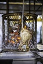 Pork ham barbecue grilled over a wood fire. Rotating vertical rotisserie grill bbq for street food business. All-round browning. Royalty Free Stock Photo