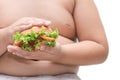 Pork hamburger on obese fat boy hand background isolated Royalty Free Stock Photo