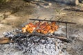 Pork Kebab Shashlik Skewers Barbecue on picnic Royalty Free Stock Photo