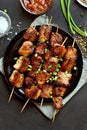 Pork kebabs, bbq meat, top view Royalty Free Stock Photo