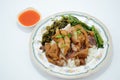 Pork Leg Stew over Rice Royalty Free Stock Photo