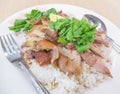 Pork Leg Stew over Rice Royalty Free Stock Photo