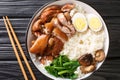 Pork leg stew on rice or kao ka moo is the quintessential Thai street food closeup in the bowl. Horizontal top view Royalty Free Stock Photo