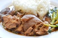 Pork leg stewed with rice on dish Royalty Free Stock Photo