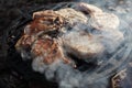 Pork loins on a cast-iron grill