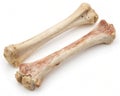 Raw caw bones. Two pieces of raw cut bones of a caw isolated on white Royalty Free Stock Photo