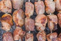 Pork meat cooked outdoor on smouldering carbons Royalty Free Stock Photo