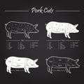 Pork Meat Cuts Scheme Royalty Free Stock Photo