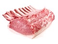 Raw Pork Meat - Loin with Bones - Isolated