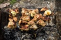 Pork meat roasting on the grill Royalty Free Stock Photo